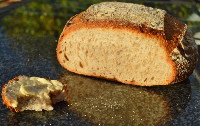 crisp, homecook, home cooking, home cook, cookery, meals, foodie, food, fdblogger, blogger, food blogger, foodblogger, baking, cooking, recipe, philip, philipfriend, philip friend, bakeoff, bake off, great british bake off, GBBO, food, foodie, Britain's Best Home Cook, Britains Best Home Cook, Britainsbesthomecook, bbc, bbc1, bbc 1, television, tv, tv cook, tvcook, tv chef, chef, cook, besthomecook, best home cook, final, finalist, UK, Surrey, dough, bread, realbread, real bread, sourdough, starter, comfort, comfort food, comfortfood, cheese, cheddar, ale, local, loaf, boule