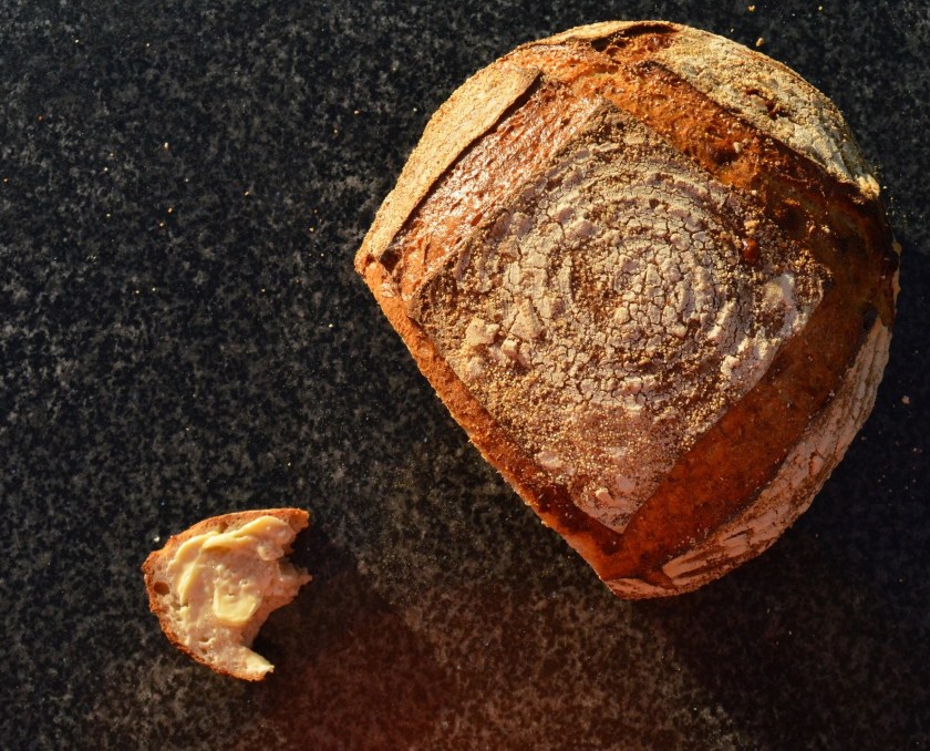 crisp, homecook, home cooking, home cook, cookery, meals, foodie, food, fdblogger, blogger, food blogger, foodblogger, baking, cooking, recipe, philip, philipfriend, philip friend, bakeoff, bake off, great british bake off, GBBO, food, foodie, Britain's Best Home Cook, Britains Best Home Cook, Britainsbesthomecook, bbc, bbc1, bbc 1, television, tv, tv cook, tvcook, tv chef, chef, cook, besthomecook, best home cook, final, finalist, UK, Surrey, dough, bread, realbread, real bread, sourdough, starter, comfort, comfort food, comfortfood, cheese, cheddar, ale, local, loaf, boule