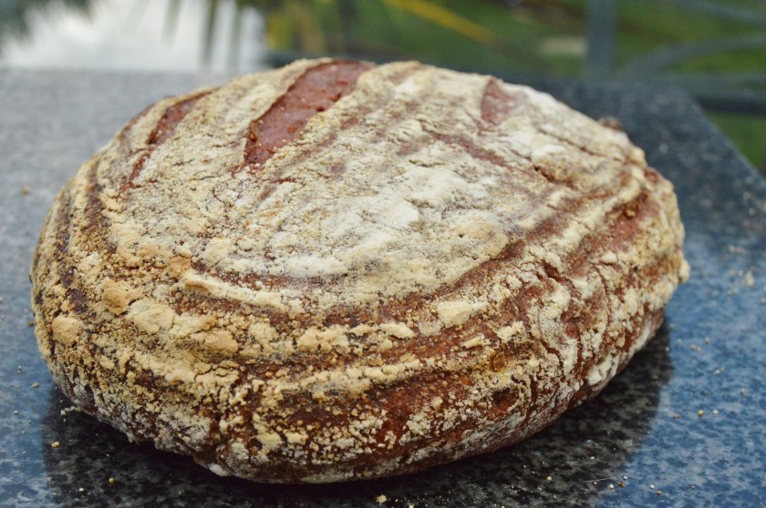 crisp, homecook, home cooking, home cook, cookery, meals, foodie, food, fdblogger, blogger, food blogger, foodblogger, baking, cooking, recipe, philip, philipfriend, philip friend, bakeoff, bake off, great british bake off, GBBO, food, foodie, Britain's Best Home Cook, Britains Best Home Cook, Britainsbesthomecook, bbc, bbc1, bbc 1, television, tv, tv cook, tvcook, tv chef, chef, cook, besthomecook, best home cook, final, finalist, UK, Surrey, dough, bread, realbread, real bread, sourdough, starter, comfort, comfort food, comfortfood, beetroot, walnut, walnuts, sandwich, sandwiches, homegrown