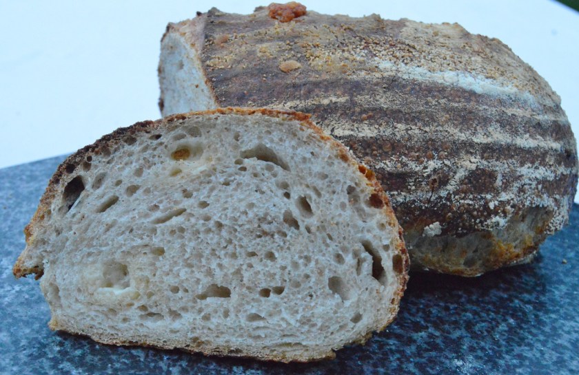 crisp, homecook, home cooking, home cook, cookery, meals, foodie, food, fdblogger, blogger, food blogger, foodblogger, baking, cooking, recipe, philip, philipfriend, philip friend, bakeoff, bake off, great british bake off, GBBO, food, foodie, Britain's Best Home Cook, Britains Best Home Cook, Britainsbesthomecook, bbc, bbc1, bbc 1, television, tv, tv cook, tvcook, tv chef, chef, cook, besthomecook, best home cook, final, finalist, UK, Surrey, dough, bread, realbread, real bread, sourdough, starter, comfort, comfort food, comfortfood, cheese,, cheddar, ale, beer