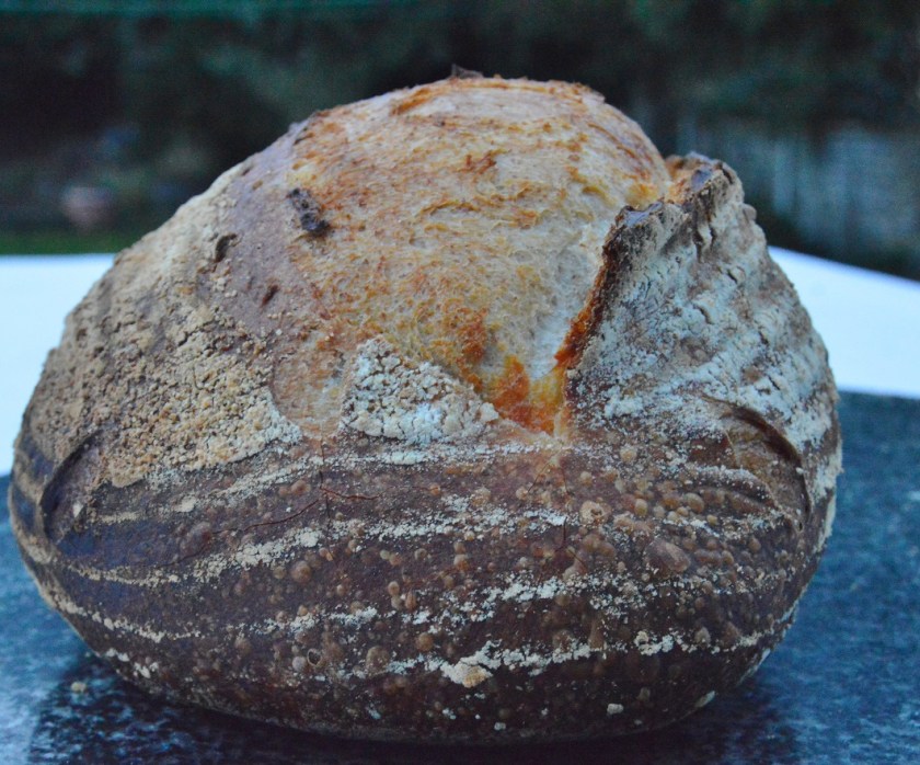 crisp, homecook, home cooking, home cook, cookery, meals, foodie, food, fdblogger, blogger, food blogger, foodblogger, baking, cooking, recipe, philip, philipfriend, philip friend, bakeoff, bake off, great british bake off, GBBO, food, foodie, Britain's Best Home Cook, Britains Best Home Cook, Britainsbesthomecook, bbc, bbc1, bbc 1, television, tv, tv cook, tvcook, tv chef, chef, cook, besthomecook, best home cook, final, finalist, UK, Surrey, dough, bread, realbread, real bread, sourdough, starter, comfort, comfort food, comfortfood, cheese,, cheddar, ale, beer