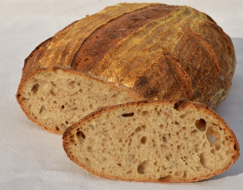 crisp, homecook, home cooking, home cook, cookery, meals, foodie, food, fdblogger, blogger, food blogger, foodblogger, baking, cooking, recipe, philip, philipfriend, philip friend, bakeoff, bake off, great british bake off, GBBO, food, foodie, Britain's Best Home Cook, Britains Best Home Cook, Britainsbesthomecook, bbc, bbc1, bbc 1, television, tv, tv cook, tvcook, tv chef, chef, cook, besthomecook, best home cook, final, finalist, UK, Surrey, dough, bread, realbread, real bread, sourdough, starter, comfort, comfort food, comfortfood, loaf, wholemeal