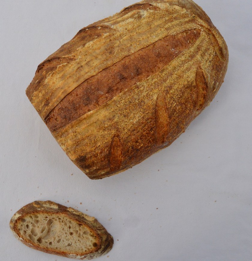 crisp, homecook, home cooking, home cook, cookery, meals, foodie, food, fdblogger, blogger, food blogger, foodblogger, baking, cooking, recipe, philip, philipfriend, philip friend, bakeoff, bake off, great british bake off, GBBO, food, foodie, Britain's Best Home Cook, Britains Best Home Cook, Britainsbesthomecook, bbc, bbc1, bbc 1, television, tv, tv cook, tvcook, tv chef, chef, cook, besthomecook, best home cook, final, finalist, UK, Surrey, dough, bread, realbread, real bread, sourdough, starter, comfort, comfort food, comfortfood