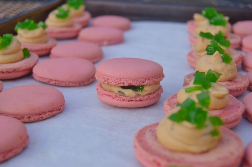 allotment, homegrown, homecook, home cooking, home cook, cookery, meals, foodie, food, fdblogger, blogger, food blogger, foodblogger, baking, cooking, recipe, philip, philipfriend, philip friend, bakeoff, bake off, great british bake off, GBBO, food, foodie, Britain's Best Home Cook, Britains Best Home Cook, Britainsbesthomecook, bbc, bbc1, bbc 1, television, tv, tv cook, tvcook, tv chef, chef, cook, besthomecook, best home cook, final, finalist, UK, Surrey, macaron, macarons, biscuit, biscuits, french, fruit, pimms, summercup, summer cup, alcohol, summer, cocktail, cucumber, mint, summery, jelly