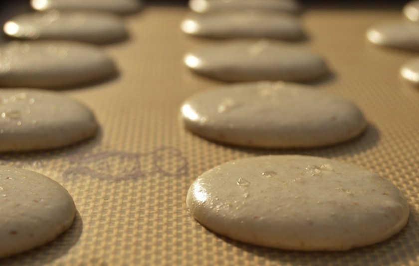 allotment, homegrown, homecook, home cooking, home cook, cookery, snowman, snowmen, meals, foodie, food, fdblogger, blogger, food blogger, foodblogger, baking, cooking, recipe, philip, philipfriend, philip friend, bakeoff, bake off, great british bake off, GBBO, food, foodie, Britain's Best Home Cook, Britains Best Home Cook, Britainsbesthomecook, bbc, bbc1, bbc 1, television, tv, tv cook, tvcook, tv chef, chef, cook, besthomecook, best home cook, final, finalist, UK, Surrey, macaron, macarons, biscuit, biscuits, french, chocolate, ganache, caramel, salt, salted, salted caramel, saltedcaramel