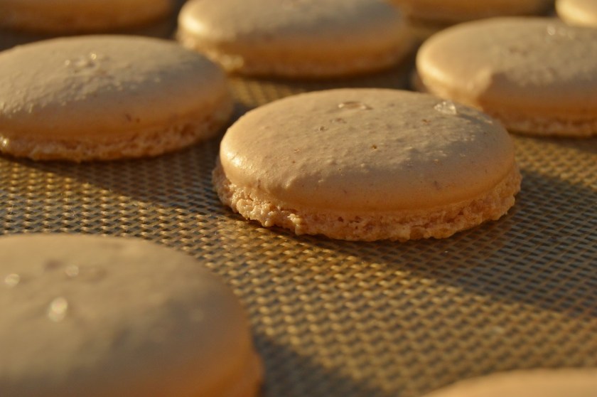 allotment, homegrown, homecook, home cooking, home cook, cookery, snowman, snowmen, meals, foodie, food, fdblogger, blogger, food blogger, foodblogger, baking, cooking, recipe, philip, philipfriend, philip friend, bakeoff, bake off, great british bake off, GBBO, food, foodie, Britain's Best Home Cook, Britains Best Home Cook, Britainsbesthomecook, bbc, bbc1, bbc 1, television, tv, tv cook, tvcook, tv chef, chef, cook, besthomecook, best home cook, final, finalist, UK, Surrey, macaron, macarons, biscuit, biscuits, french, chocolate, ganache, caramel, salt, salted, salted caramel, saltedcaramel