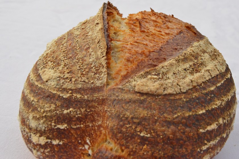 crisp, homecook, home cooking, home cook, cookery, meals, foodie, food, fdblogger, blogger, food blogger, foodblogger, baking, cooking, recipe, philip, philipfriend, philip friend, bakeoff, bake off, great british bake off, GBBO, food, foodie, Britain's Best Home Cook, Britains Best Home Cook, Britainsbesthomecook, bbc, bbc1, bbc 1, television, tv, tv cook, tvcook, tv chef, chef, cook, besthomecook, best home cook, final, finalist, UK, Surrey, dough, bread, realbread, real bread, sourdough, starter, comfort, comfort food, comfortfood, ear