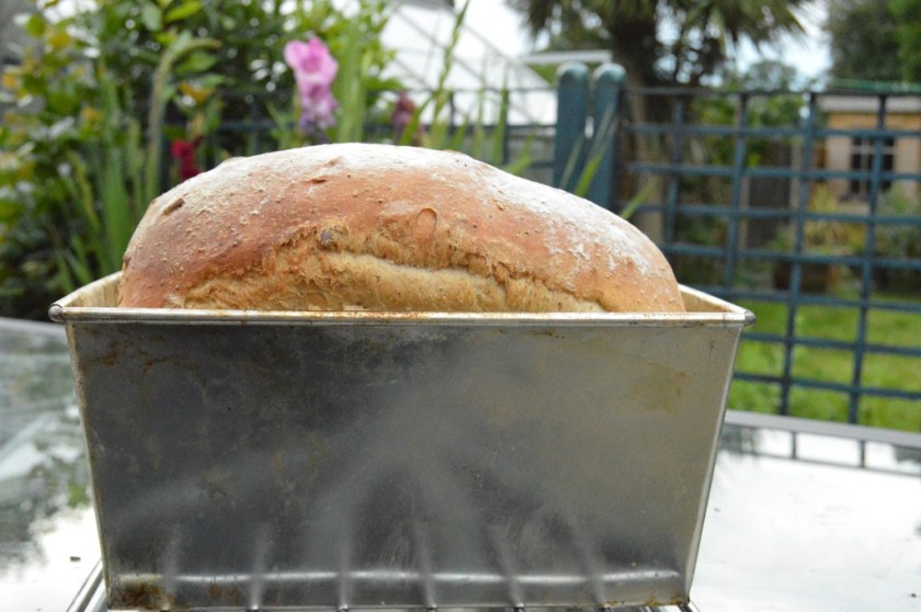 bread, seed, seeded, loaves, loaf,sourdough, real bread, realbread, homecook, besthomecook, britainsbesthomecook, britain's best home cook, mary berry, claudia winkleman, maryberry, claudiawinkleman, chrisbavin, chris bavin, bbc, bbc1, bbcone, television, tv, philip, philipfriend, philip friend, yeast, flour, bakery, recipe, food, foodie