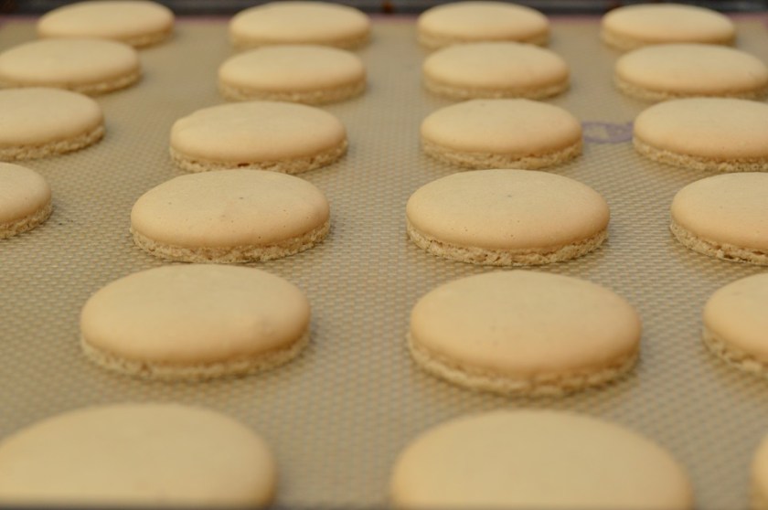 allotment, homegrown, homecook, home cooking, home cook, cookery, meals, foodie, food, fdblogger, blogger, food blogger, foodblogger, baking, cooking, recipe, philip, philipfriend, philip friend, bakeoff, bake off, great british bake off, GBBO, food, foodie, Britain's Best Home Cook, Britains Best Home Cook, Britainsbesthomecook, bbc, bbc1, bbc 1, television, tv, tv cook, tvcook, tv chef, chef, cook, besthomecook, best home cook, final, finalist, UK, Surrey, macaron, macarons, biscuit, biscuits, french, Italian, tiramisu, coffee, cocoa, coffeebean, coffee bean, chocolate, mocha