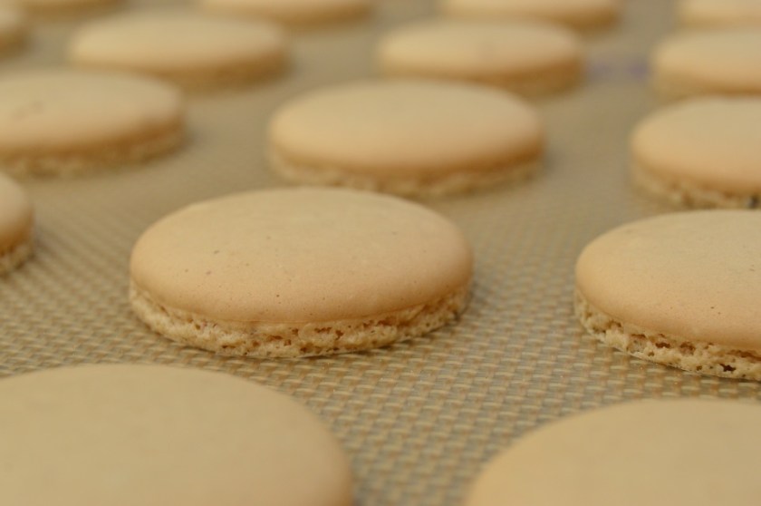 allotment, homegrown, homecook, home cooking, home cook, cookery, meals, foodie, food, fdblogger, blogger, food blogger, foodblogger, baking, cooking, recipe, philip, philipfriend, philip friend, bakeoff, bake off, great british bake off, GBBO, food, foodie, Britain's Best Home Cook, Britains Best Home Cook, Britainsbesthomecook, bbc, bbc1, bbc 1, television, tv, tv cook, tvcook, tv chef, chef, cook, besthomecook, best home cook, final, finalist, UK, Surrey, macaron, macarons, biscuit, biscuits, french, Italian, tiramisu, coffee, cocoa, coffeebean, coffee bean, chocolate, mocha