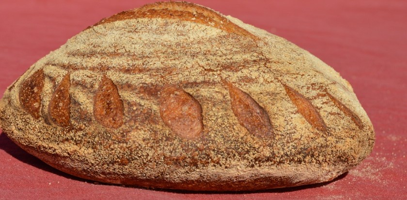 crisp, homecook, home cooking, home cook, cookery, meals, foodie, food, fdblogger, blogger, food blogger, foodblogger, baking, cooking, recipe, philip, philipfriend, philip friend, bakeoff, bake off, great british bake off, GBBO, food, foodie, Britain's Best Home Cook, Britains Best Home Cook, Britainsbesthomecook, bbc, bbc1, bbc 1, television, tv, tv cook, tvcook, tv chef, chef, cook, besthomecook, best home cook, final, finalist, UK, Surrey, dough, bread, realbread, real bread, sourdough, starter, comfort, comfort food, comfortfood, rye, loaf