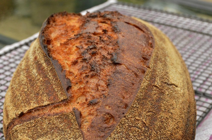 crisp, homecook, home cooking, home cook, cookery, meals, foodie, food, fdblogger, blogger, food blogger, foodblogger, baking, cooking, recipe, philip, philipfriend, philip friend, bakeoff, bake off, great british bake off, GBBO, food, foodie, Britain's Best Home Cook, Britains Best Home Cook, Britainsbesthomecook, bbc, bbc1, bbc 1, television, tv, tv cook, tvcook, tv chef, chef, cook, besthomecook, best home cook, final, finalist, UK, Surrey, dough, bread, realbread, real bread, sourdough, starter, comfort, comfort food, comfortfood, loaf