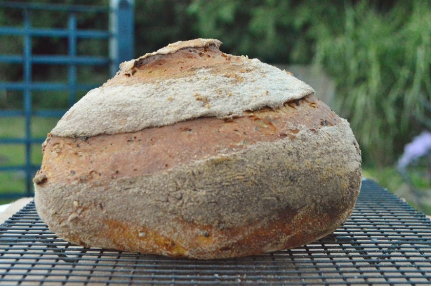 bread, sourdough, real bread, realbread, homecook, besthomecook, britainsbesthomecook, britain's best home cook, mary berry, claudia winkleman, maryberry, claudiawinkleman, chrisbavin, chris bavin, bbc, bbc1, bbcone, television, tv, philip, philipfriend, philip friend, yeast, flour, bakery, recipe, food, foodie