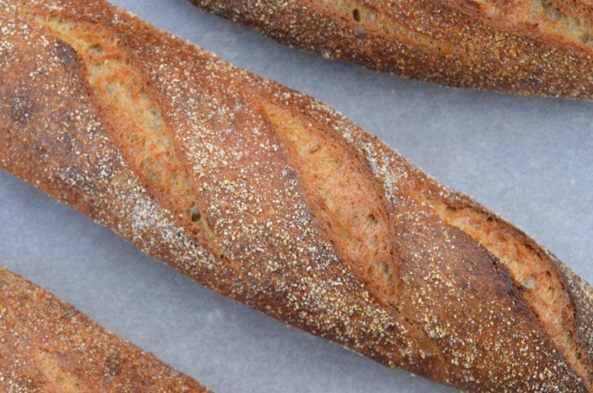 bread, sourdough, real bread, realbread, homecook, besthomecook, baguette, baguettes, french, britainsbesthomecook, britain's best home cook, mary berry, claudia winkleman, maryberry, claudiawinkleman, chrisbavin, chris bavin, bbc, bbc1, bbcone, television, tv, philip, philipfriend, philip friend, yeast, flour, bakery, recipe, food, foodie