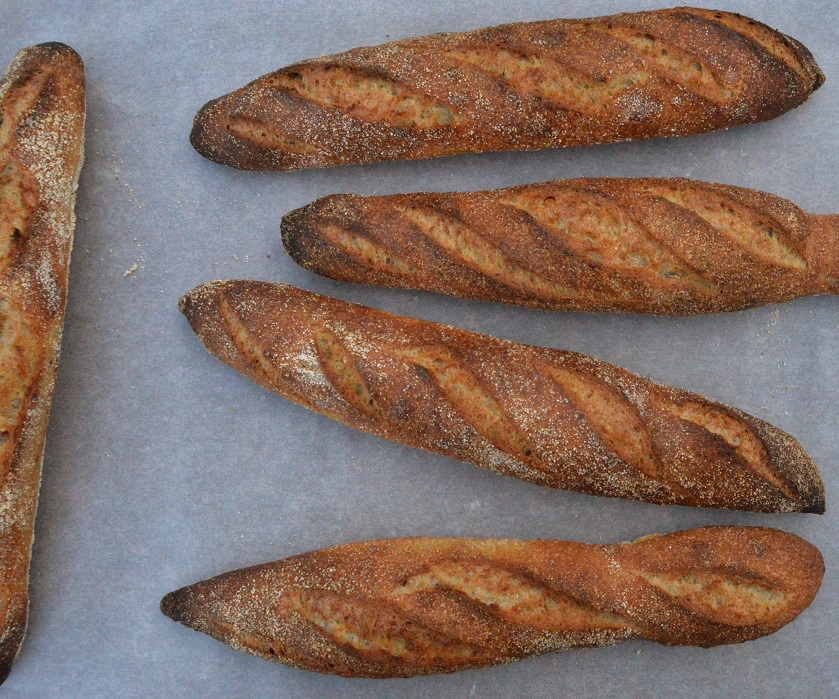 crisp, homecook, home cooking, home cook, cookery, meals, foodie, food, fdblogger, blogger, food blogger, foodblogger, baking, cooking, recipe, philip, philipfriend, philip friend, bakeoff, bake off, great british bake off, GBBO, food, foodie, Britain's Best Home Cook, Britains Best Home Cook, Britainsbesthomecook, bbc, bbc1, bbc 1, television, tv, tv cook, tvcook, tv chef, chef, cook, besthomecook, best home cook, final, finalist, UK, Surrey, dough, bread, realbread, real bread, sourdough, starter, comfort, comfort food, comfortfood, baguette, baguettes, French