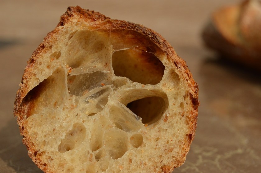 crisp, homecook, home cooking, home cook, cookery, meals, foodie, food, fdblogger, blogger, food blogger, foodblogger, baking, cooking, recipe, philip, philipfriend, philip friend, bakeoff, bake off, great british bake off, GBBO, food, foodie, Britain's Best Home Cook, Britains Best Home Cook, Britainsbesthomecook, bbc, bbc1, bbc 1, television, tv, tv cook, tvcook, tv chef, chef, cook, besthomecook, best home cook, final, finalist, UK, Surrey, dough, bread, realbread, real bread, sourdough, starter, comfort, comfort food, comfortfood, baguette, baguettes, French