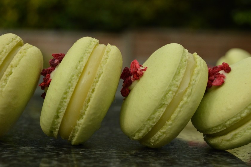 homemade, homecook, home cooking, home cook, cookery, meals, foodie, food, fdblogger, blogger, food blogger, foodblogger, baking, cooking, recipe, philip, philipfriend, philip friend, bakeoff, bake off, great british bake off, GBBO, food, foodie, Britain's Best Home Cook, Britains Best Home Cook, Britainsbesthomecook, bbc, bbc1, bbc 1, television, tv, tv cook, tvcook, tv chef, chef, cook, besthomecook, best home cook, final, finalist, UK, Surrey, macaron, macarons, biscuit, biscuits, french, raspberry, lemon, pistachio, fruit, tangy