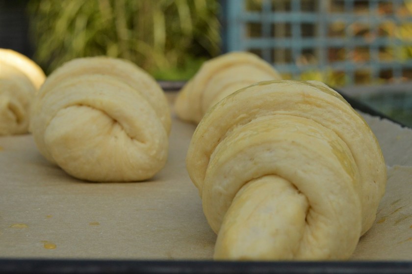 breakfast, lamination, dough, turns, yeast, proving, shaping, bread, homecook, home cooking, home cook, cookery, meals, foodie, food, fdblogger, blogger, food blogger, foodblogger, baking, cooking, recipe, philip, philipfriend, philip friend, bakeoff, bake off, great british bake off, GBBO, food, foodie, Britain's Best Home Cook, Britains Best Home Cook, Britainsbesthomecook, bbc, bbc1, bbc 1, television, tv, tv cook, tvcook, tv chef, chef, cook, besthomecook, best home cook, final, finalist, UK, Surrey, french, pastry, croissant, croissants, viennoiserie, butter, dough, laminate, lamination, initial, detrempe