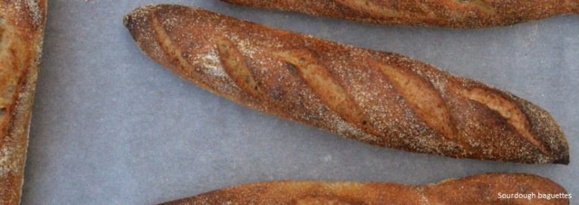 crisp, homecook, home cooking, home cook, cookery, meals, foodie, food, fdblogger, blogger, food blogger, foodblogger, baking, cooking, recipe, philip, philipfriend, philip friend, bakeoff, bake off, great british bake off, GBBO, food, foodie, Britain's Best Home Cook, Britains Best Home Cook, Britainsbesthomecook, bbc, bbc1, bbc 1, television, tv, tv cook, tvcook, tv chef, chef, cook, besthomecook, best home cook, final, finalist, UK, Surrey, dough, bread, realbread, real bread, sourdough, starter, comfort, comfort food, comfortfood, baguette, rye