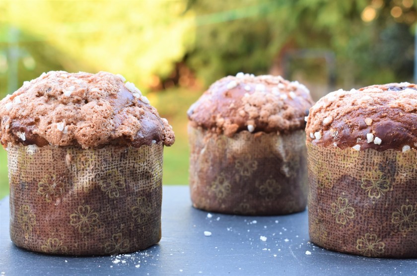Christmas bread baking homecook Italian panettone chocolate