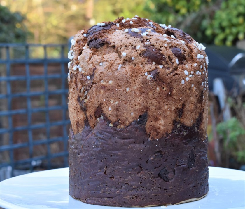 Christmas bread baking homecook Italian chocolate panettone