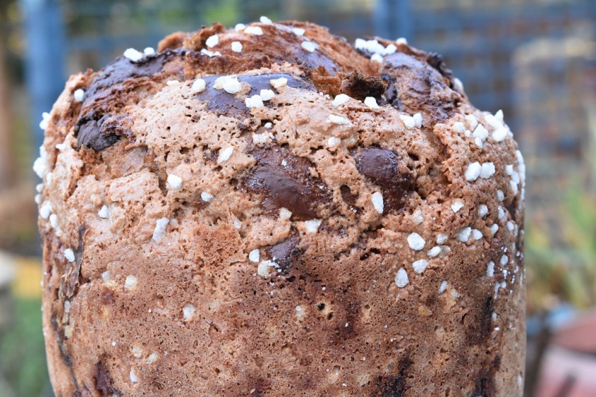 Christmas bread baking homecook Italian chocolate panettone