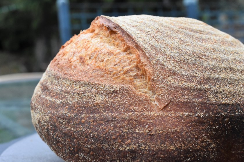 bread, sourdough, real bread, realbread, homecook, besthomecook, britainsbesthomecook, britain's best home cook, mary berry, claudia winkleman, maryberry, claudiawinkleman, chrisbavin, chris bavin, bbc, bbc1, bbcone, television, tv, philip, philipfriend, philip friend, yeast, flour, bakery, recipe, loaf, boule, crust