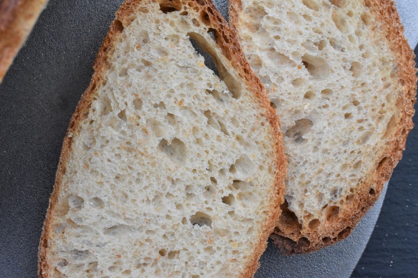bread, sourdough, real bread, realbread, homecook, besthomecook, britainsbesthomecook, britain's best home cook, mary berry, claudia winkleman, maryberry, claudiawinkleman, chrisbavin, chris bavin, bbc, bbc1, bbcone, television, tv, philip, philipfriend, philip friend, yeast, flour, bakery, recipe, loaf, boule, crust
