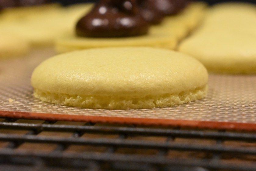 macaron, macarons, macaroons, homecook, philip, philipfriend, bakingfanatic, philip friend, surrey, bbc, bbhc, cook, chef, cooking, patisserie, orange, jaffa, jaffa cake, jaffa cake, French, meringue, fruit. chocolate, ganache, afternoon, afternoontea, afternoon tea, besthomecook, best home cook, television, bbc1, bbcone, bbc one