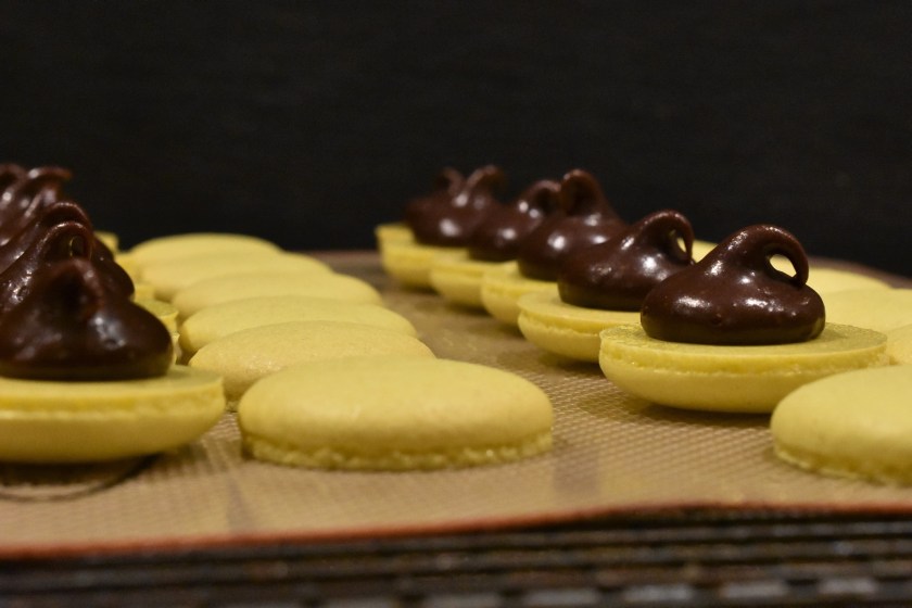 macaron, macarons, macaroons, homecook, philip, philipfriend, bakingfanatic, philip friend, surrey, bbc, bbhc, cook, chef, cooking, patisserie, orange, jaffa, jaffa cake, jaffa cake, French, meringue, fruit. chocolate, ganache, afternoon, afternoontea, afternoon tea, besthomecook, best home cook, television, bbc1, bbcone, bbc one