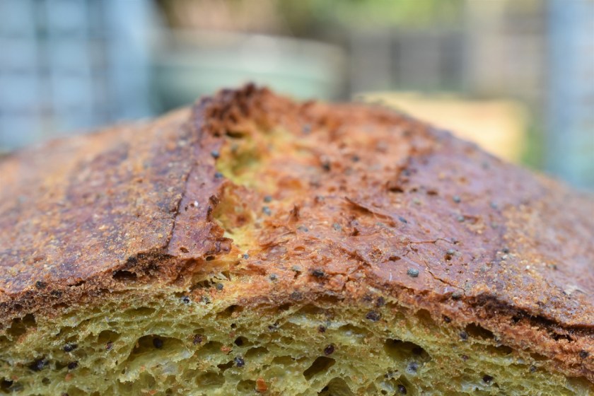 bread, sourdough, starter, fermentation, biga, saffron, spice, spices, poppy, seed, seeded, poppyseed, poppy seed, poppy seeds, hydration, toast, toasted, realbread, philip friend, philipfriend, baking, cooking, homecook, foodie, cookery, bread, sourdough, real bread, realbread, homecook, besthomecook, britainsbesthomecook, britain's best home cook, mary berry, claudia winkleman, maryberry, claudiawinkleman, chrisbavin, chris bavin, bbc, bbc1, bbcone, television, tv, philip, philipfriend, philip friend, yeast, flour, bakery, recipe, food, foodie, saffron, spices, spice, poppy, seed, poppy seed, poppyseed, loaf