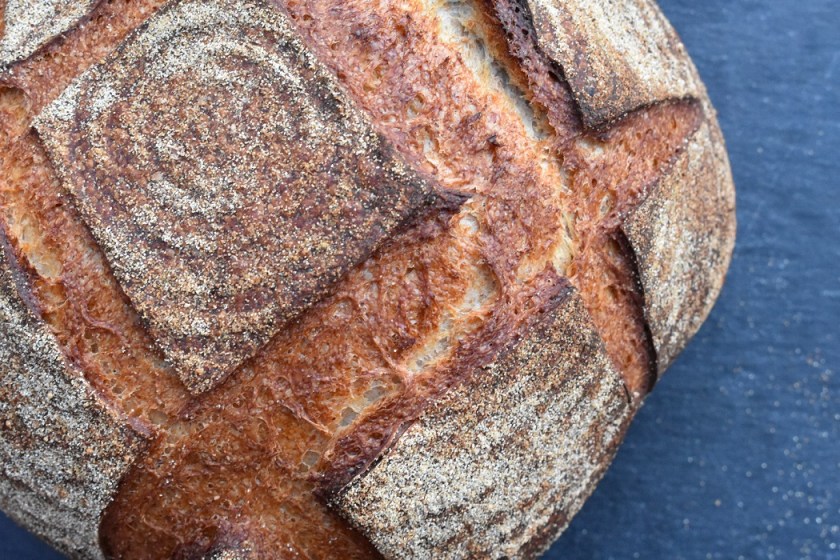 bread, sourdough, real bread, realbread, homecook, besthomecook, britainsbesthomecook, britain's best home cook, mary berry, claudia winkleman, maryberry, claudiawinkleman, chrisbavin, chris bavin, bbc, bbc1, bbcone, television, tv, philip, philipfriend, philip friend, yeast, flour, bakery, recipe, food, loaf, boule, foodie