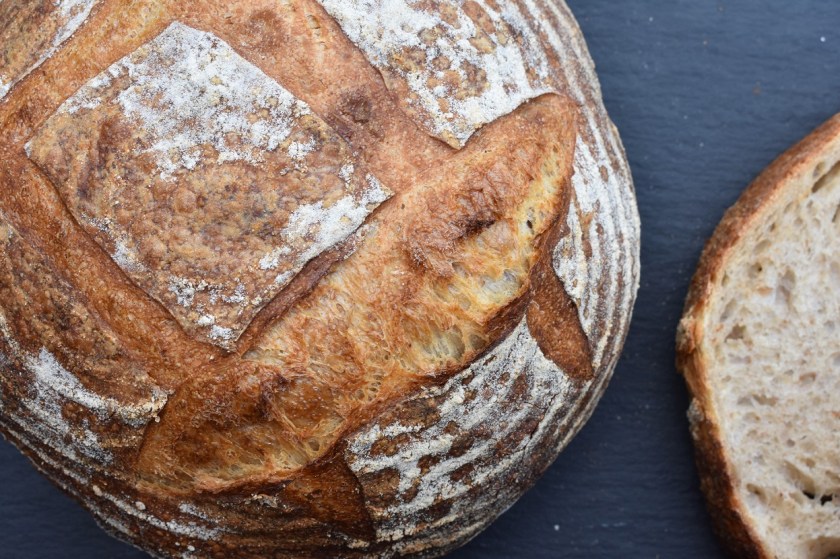 sourdough, bread, wild yeast, wildyeast, boule, loaf, baking, cooking, fermentation, bulkfermentation, bulk fermentation, realbread, real bread, artisanal, artisan, sourdough, sourdough, baking. delicious, food, foodie, recipe, homecook, philip, philipfriend, bakingfanatic, britainsbesthomecook, britains best home cook, britains' best home cook, britain's best home cook, philip friend, surrey, bbc, bbhc, cook, chef, cooking, bbcone, bbc1, bbc, besthomecook, best home cook