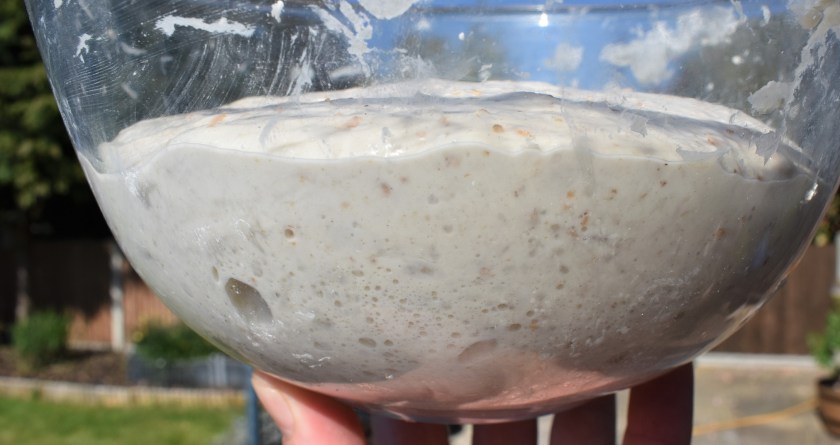 sourdough, bread, fermentation, bulkfermentation, bulk fermentation, realbread, real bread, artisanal, artisan, sourdough, sourdough, baking. delicious, food, foodie, recipe, homecook, philip, philipfriend, bakingfanatic, britainsbesthomecook, britains best home cook, britains' best home cook, britain's best home cook, philip friend, surrey, bbc, bbhc, cook, chef, cooking, bbcone, bbc1, bbc, besthomecook, best home cook