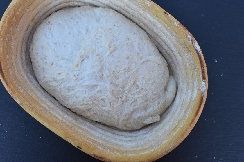 sourdough, bread, fermentation, bulkfermentation, bulk fermentation, realbread, real bread, artisanal, artisan, sourdough, sourdough, baking. delicious, food, foodie, recipe, homecook, philip, philipfriend, bakingfanatic, britainsbesthomecook, britains best home cook, britains' best home cook, britain's best home cook, philip friend, surrey, bbc, bbhc, cook, chef, cooking, bbcone, bbc1, bbc, besthomecook, best home cook