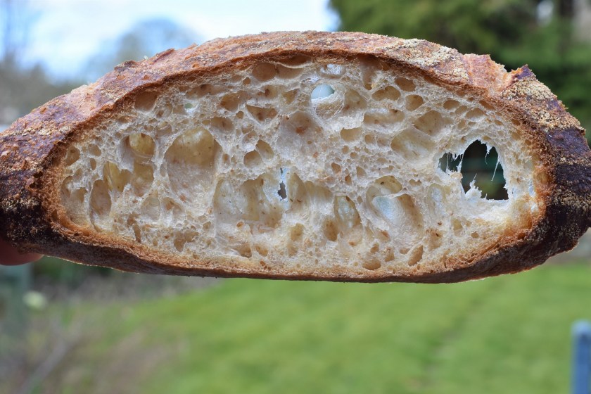 sourdough, bread, realbread, real bread, artisanal, artisan, sourdough, sourdough, crumb, baking. delicious, tasty, food, foodie,, recipe, homecook, philip, philipfriend, bakingfanatic, britainsbesthomecook, britains best home cook, britains' best home cook, britain's best home cook, philip friend, surrey, bbc, bbhc, cook, chef, cooking, bbcone, bbc1, bbc, besthomecook, best home cook