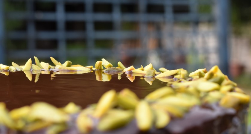 baking, cake, sponge, grill, grilling, German, besthomecook, homecook, home cook, philip friend, philip friend, bake off, bakeoff, GBBO, japaneseweek, japanese week, food, foodie, recipe, Amaretto, orange, nuts, chocolate, glaze,pistachios