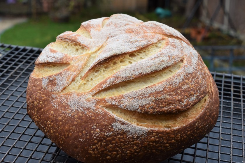 bread, baking, home baking, tangzhong, japan, japanese, cooking, homecook, best home cook, loaf, boule, besthomecook, food, foodie, recipe, philip, philipfriend, philip friend