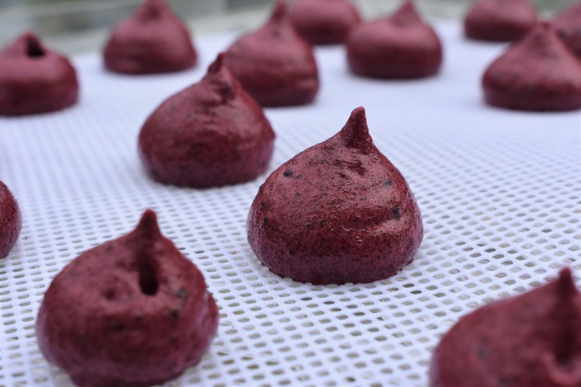 savoury, savory, fine dining, dehydrated, dehydrator, allotment, homegrown, beetroot, horseradish, goats cheese, cheese, appetiser, canape, nibble, Fat Duck, fatduck, heston, heston blumenthal, food, foodie, recipe, homecook, best home cook, besthomecook, philip. philipfriend, surrey, blogger, cooking, cookery