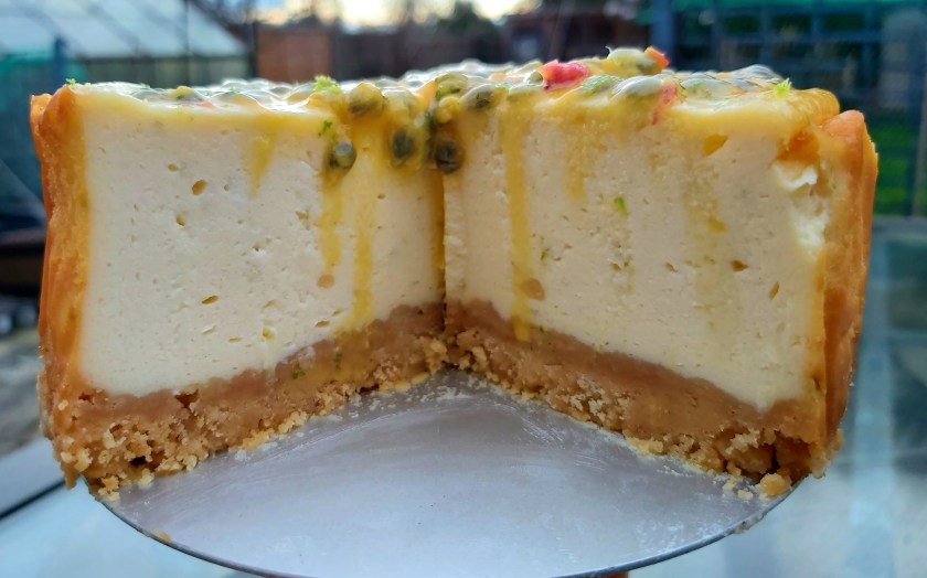 Cheesecake, baking, NewYork, food, dessert, foodie, recipe, homecook, lime, rum, pinacolada, coconut, fruit, Surrey, New York