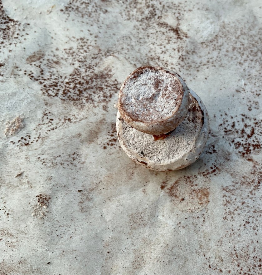 Mocha, coffee, chocolate, meringue, mushrooms, mushroom, cake, baking, decorating, cake decorating, food, foodie, recipe, cooking