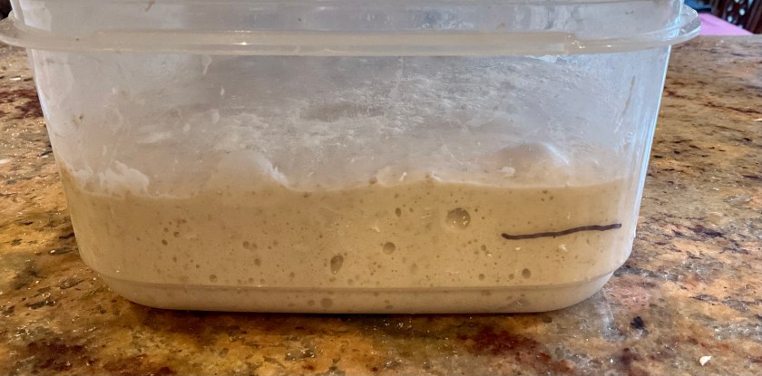 sourdough, dough, bread, baking, wild yeast, foodie, food, recipe, cooking