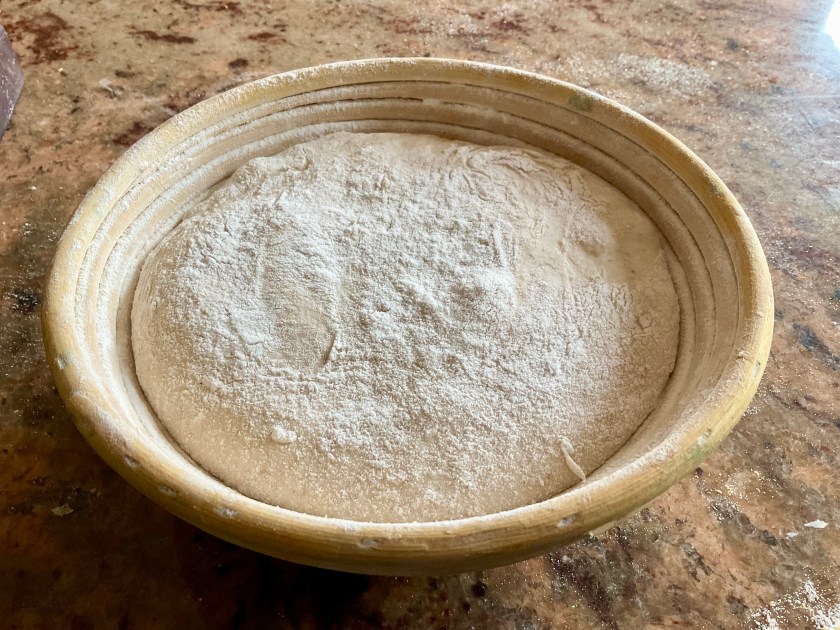 sourdough, rise, bread, dough, proof, fermentation, uk, surrey