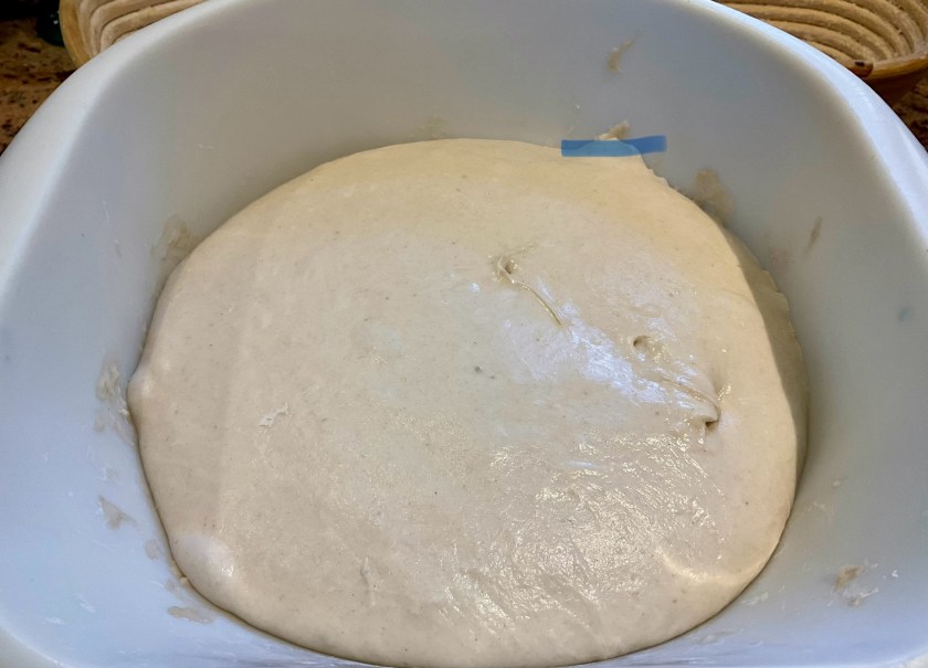 sourdough, dough, bread, baking, wild yeast, foodie, food, recipe, cooking