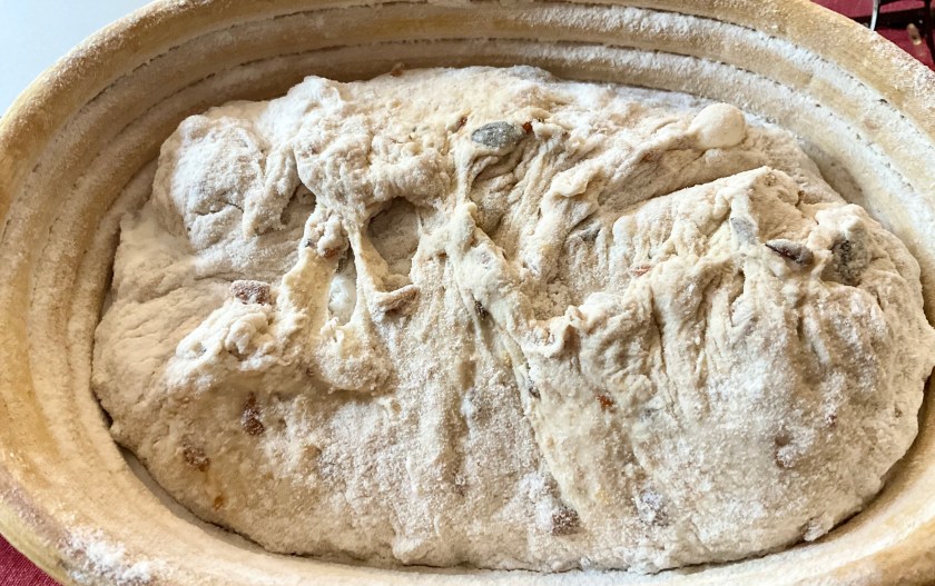 shaped and ready to proof