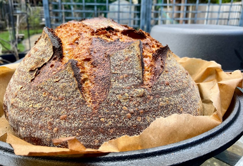 sourdough, bread, realbread, wild yeast, starter, baking, cooking, food, foodie, surrey, uk, levain