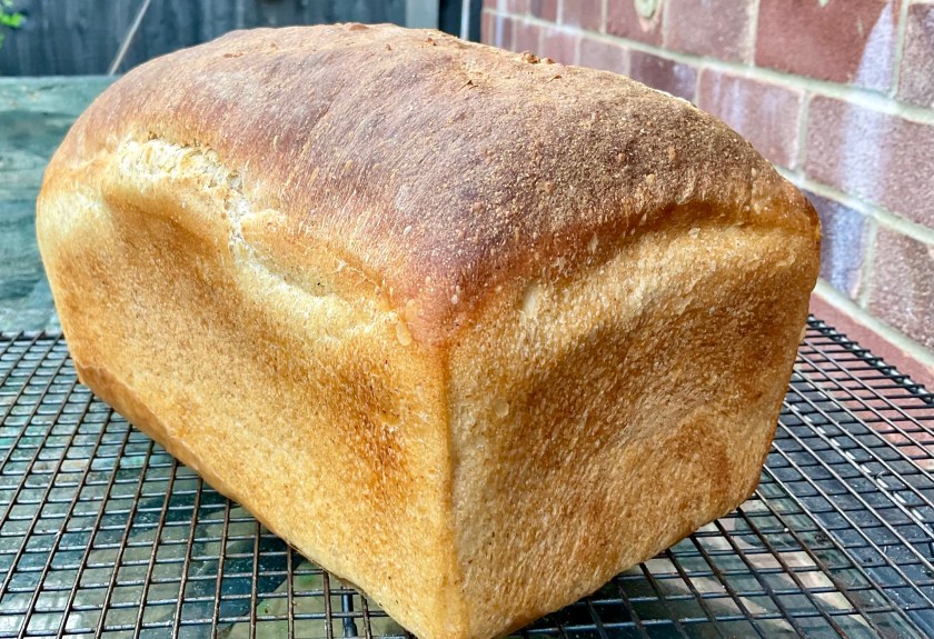 Bread, sourdough, dough, baguette, baguettes, food, foodie, baking, cooking, fermentation, yeast, yeasted, hybrid