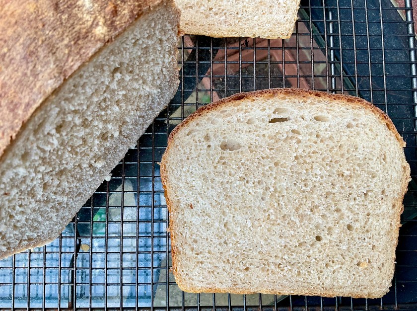 Bread, sourdough, dough, baguette, baguettes, food, foodie, baking, cooking, fermentation, yeast, yeasted, hybrid