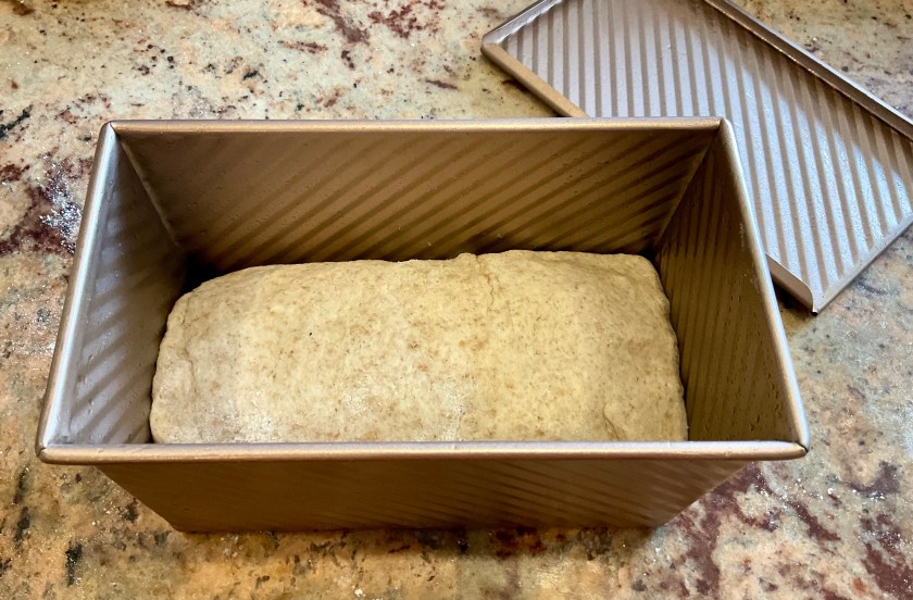 Bread, dough, sourdough, yeast, baking, food, foodie, homecook