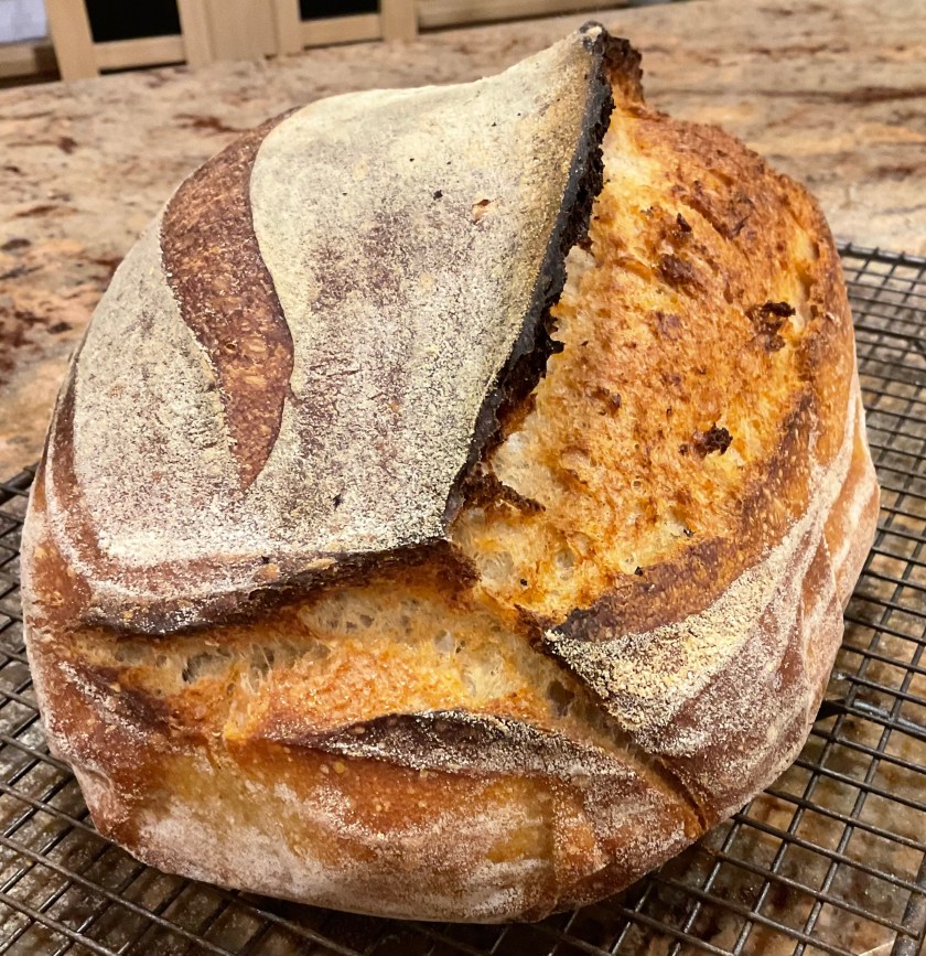 sourdough, bread, realbread, wild yeast, starter, baking, cooking, food, foodie, surrey, uk, levain